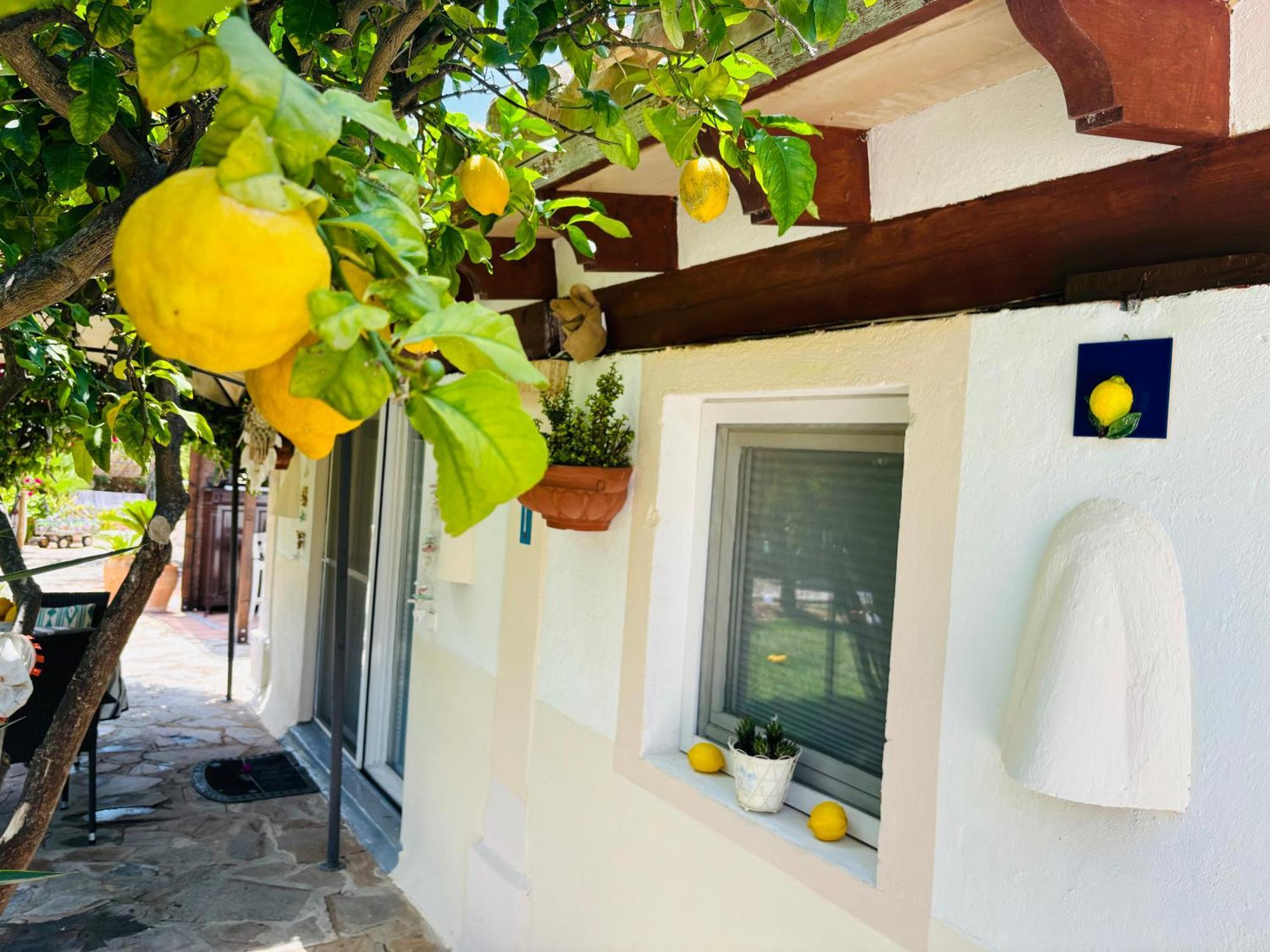 Casita Limon Andratx 빌라 외부 사진