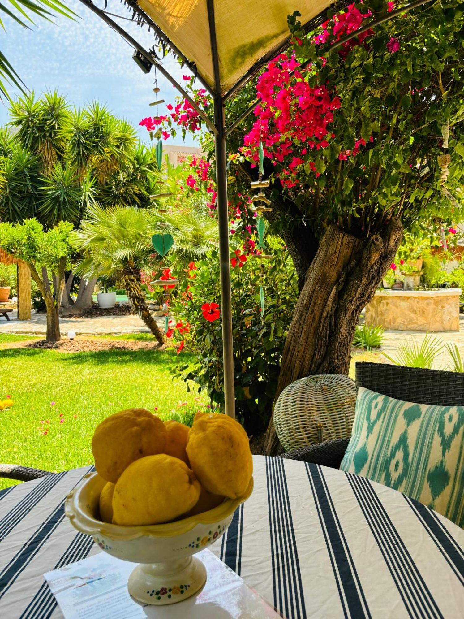 Casita Limon Andratx 빌라 외부 사진